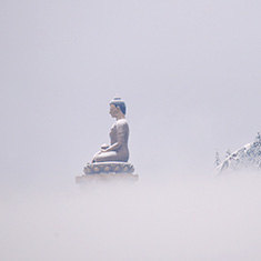 The 7th tallest buddha statue in the world